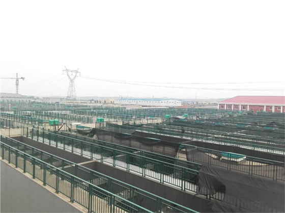 ������ˮ��