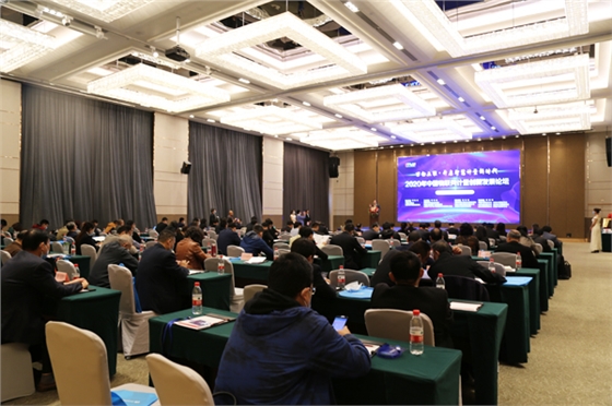 ������������̳