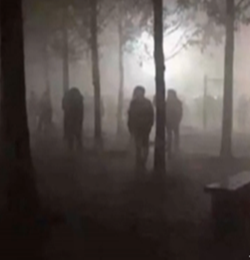 ��½����