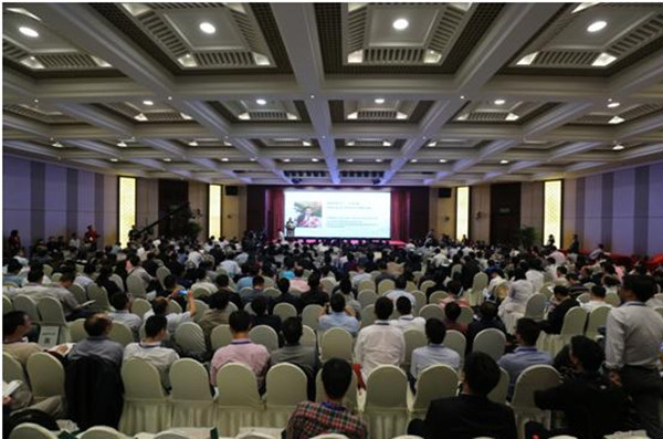 ����΢����